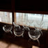 Small glass evaporating dish
